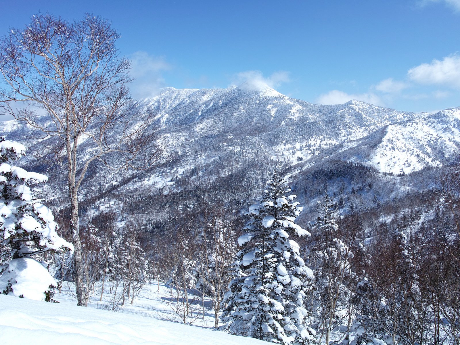 Обои небо, деревья, горы, снег, зима, пейзаж, склон, the sky, trees, mountains, snow, winter, landscape, slope разрешение 2048x1365 Загрузить