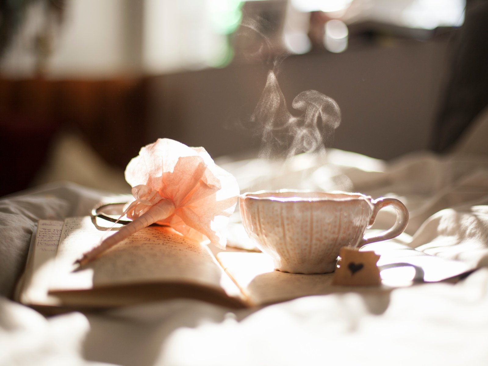 Обои кофе, дым, чашка, книга, постель, coffee, smoke, cup, book, bed разрешение 5616x3744 Загрузить