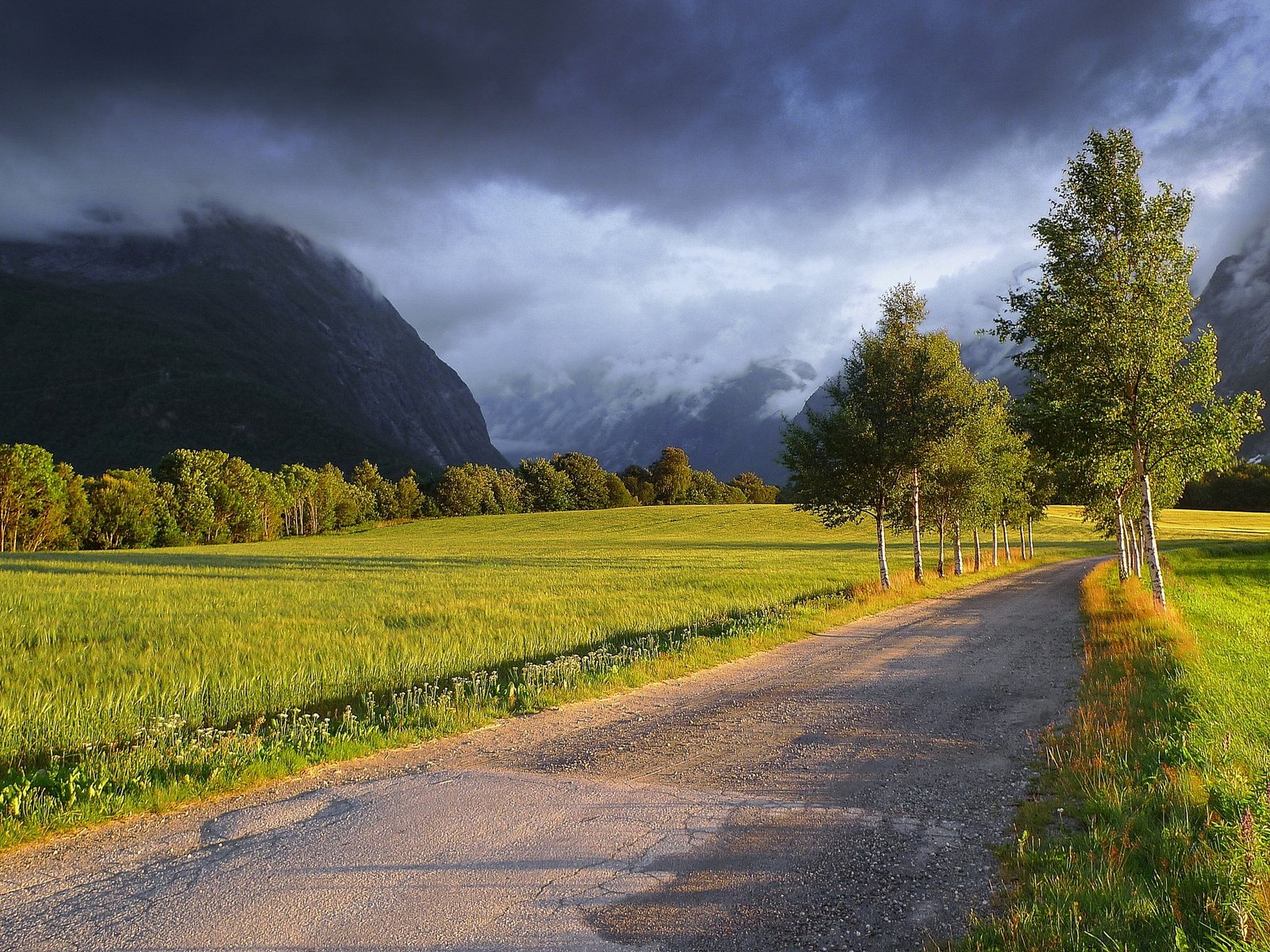 Обои дорога, деревья, горы, тучи, пейзаж, поле, road, trees, mountains, clouds, landscape, field разрешение 2880x1620 Загрузить