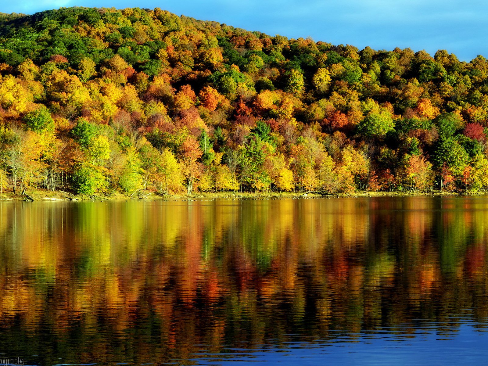 Обои деревья, вода, отражение, осень, красота, пейзаж. природа, время года, trees, water, reflection, autumn, beauty, landscape. nature, time of the year разрешение 2048x1356 Загрузить