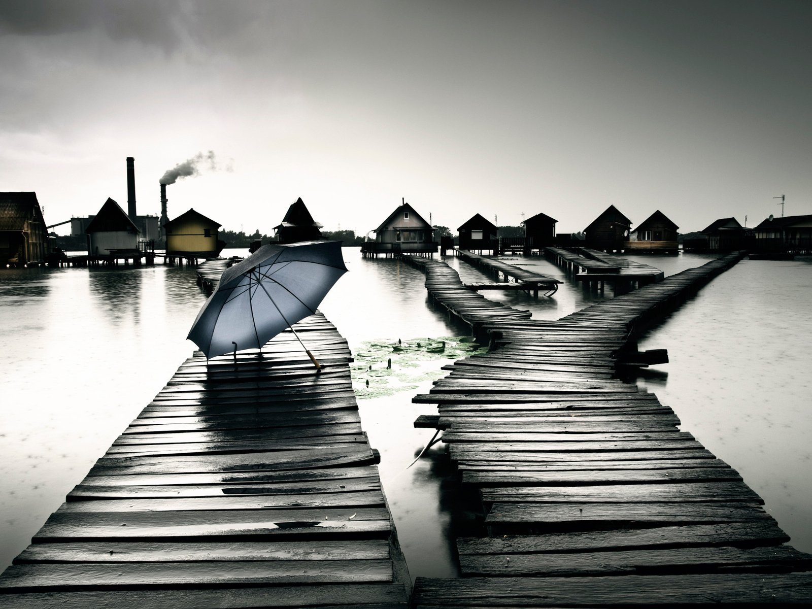 Обои озеро, дом, дождь, зонт, венгрия, bokod, lake, house, rain, umbrella, hungary разрешение 2048x1356 Загрузить