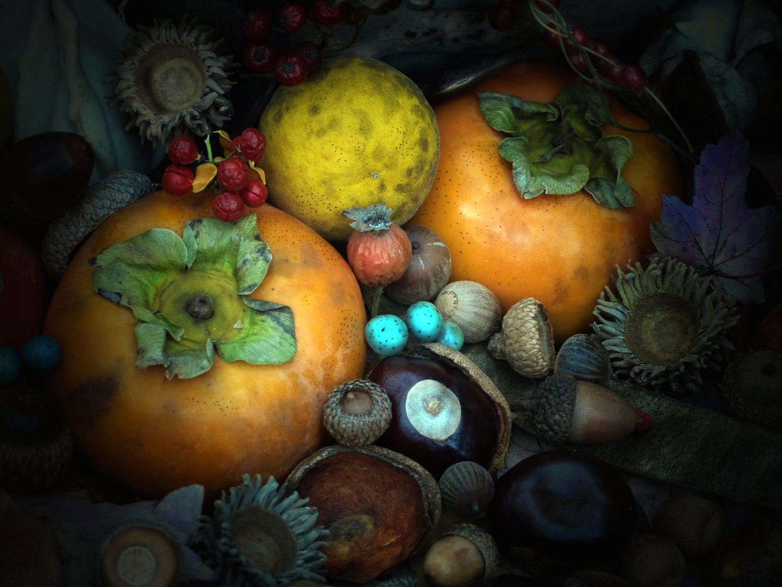 Обои текстура, осень, плод, орех, желудь, хурма, каштан, texture, autumn, the fruit, walnut, acorn, persimmon, chestnut разрешение 2048x1536 Загрузить