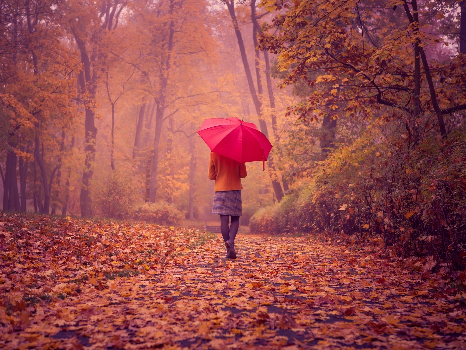 Обои дорога, девушка, пейзаж, листва, осень, спина, красный зонтик, road, girl, landscape, foliage, autumn, back, red umbrella разрешение 7000x4667 Загрузить