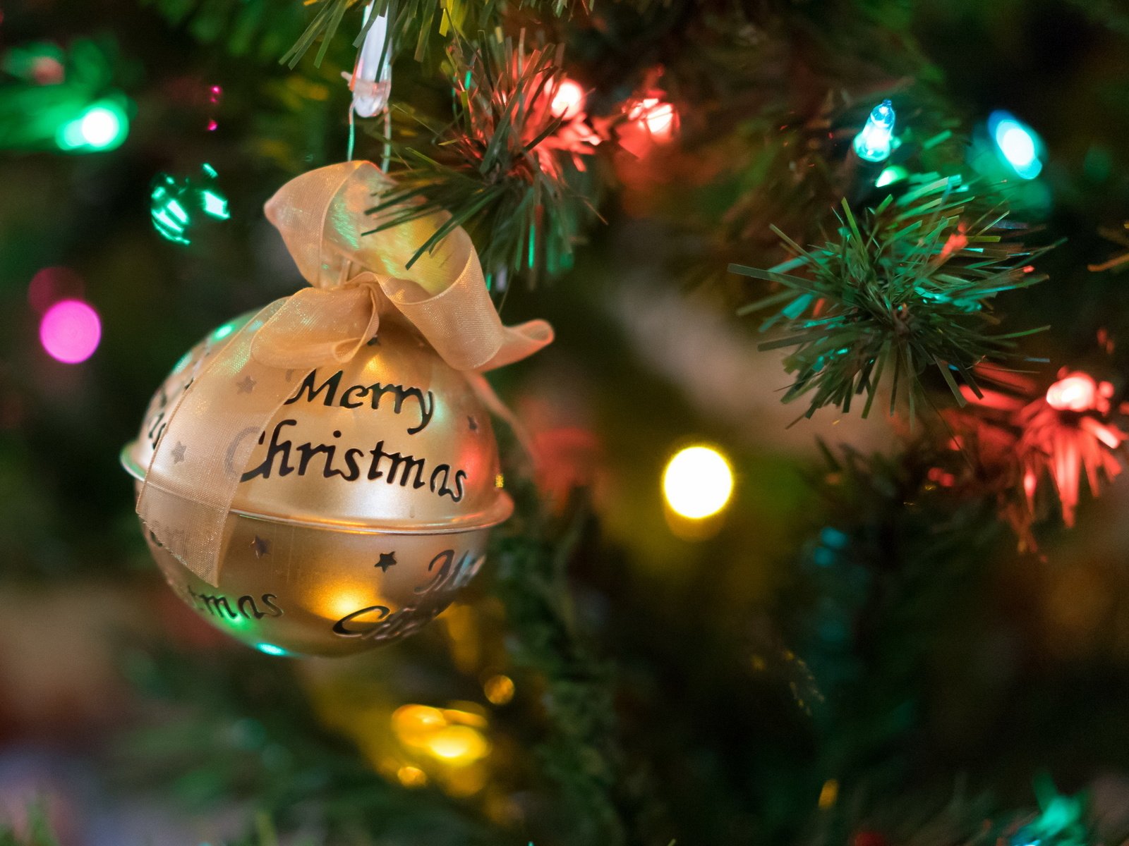 Обои новый год, елка, игрушка, рождество, новогодние украшения, елочная, new year, tree, toy, christmas, christmas decorations разрешение 2560x1649 Загрузить