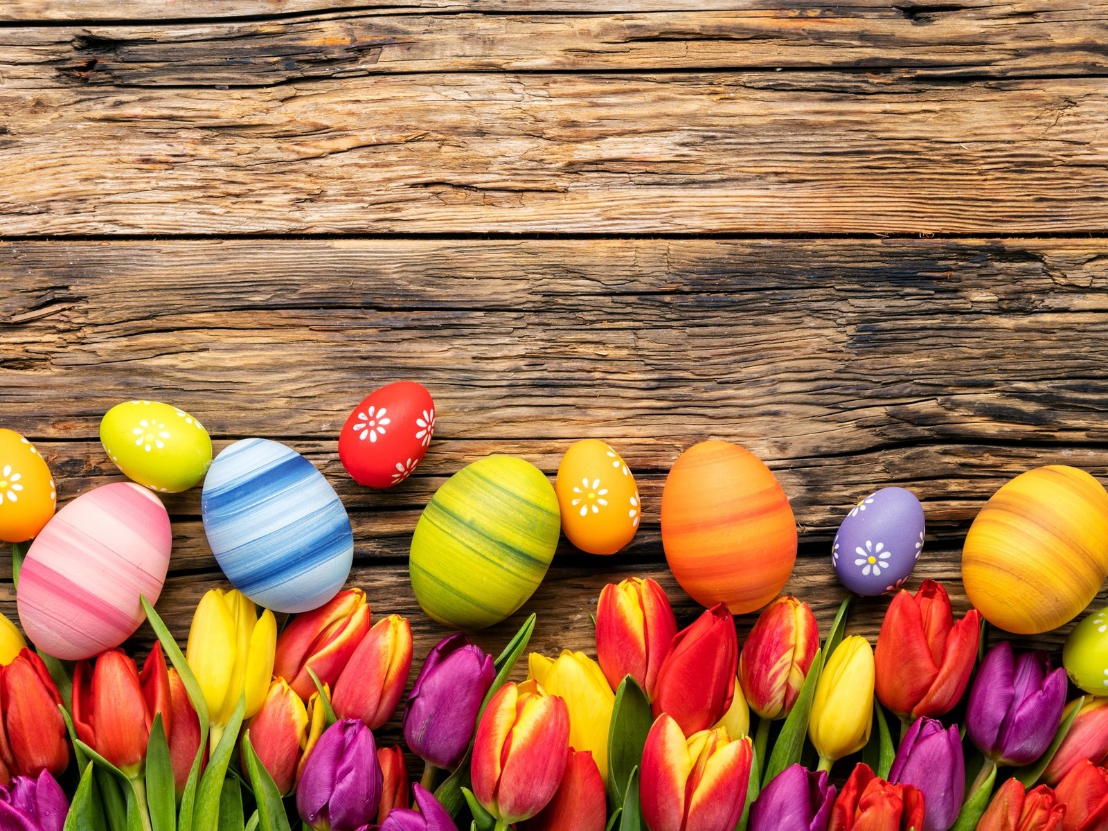 Обои цветы, весенние, весна, зеленые пасхальные, довольная, тюльпаны, красочная, пасха, яйца, дерева, тульпаны,  цветы, глазунья, декорация, decoration, flowers, spring, happy, tulips, colorful, easter, eggs, wood разрешение 5490x4000 Загрузить