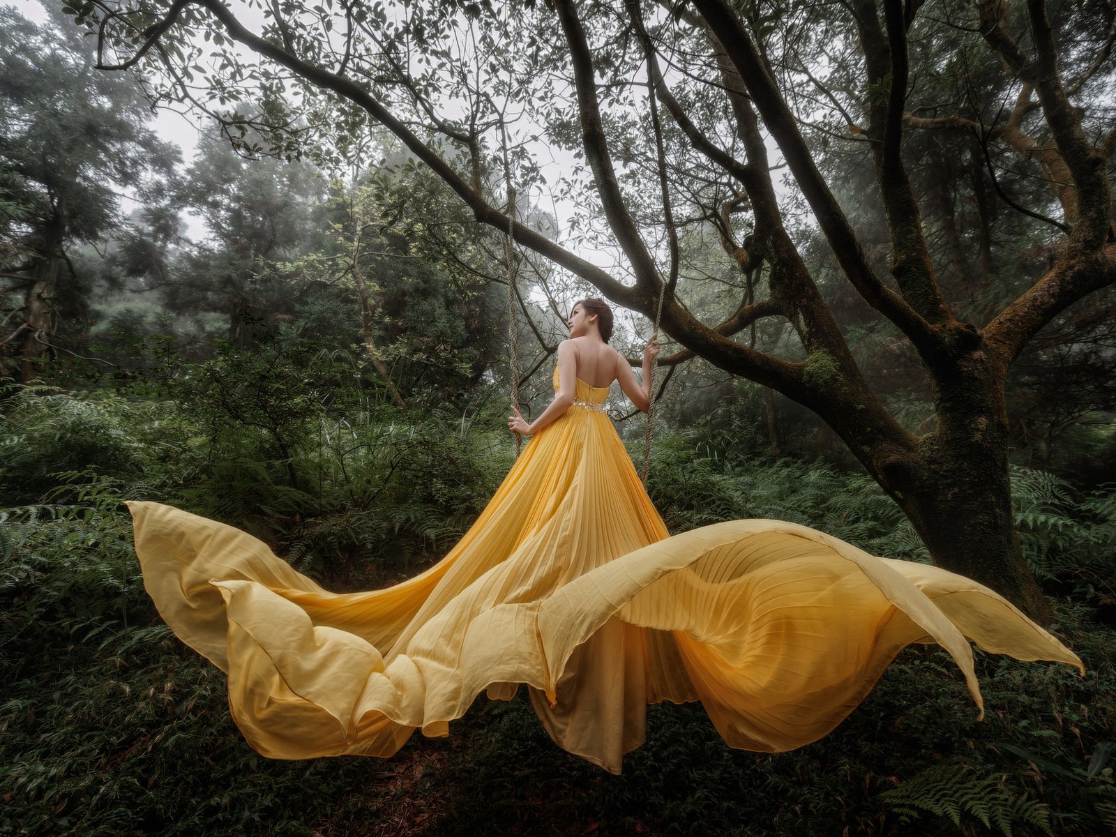Обои лес, девушка, желтое платье, forest, girl, yellow dress разрешение 2048x1363 Загрузить