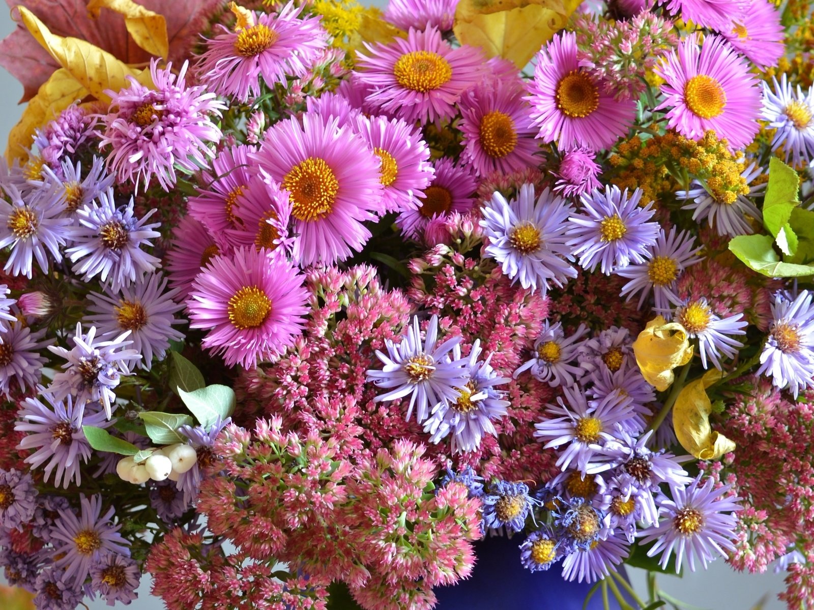 Обои осень, букет, астры, очиток, autumn, bouquet, asters, stonecrop разрешение 2100x1356 Загрузить