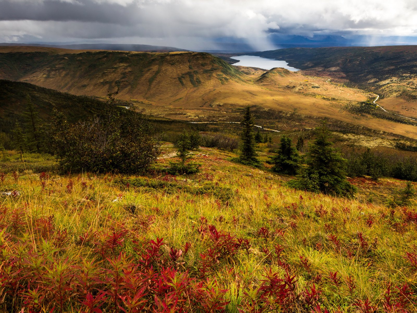 Обои озеро, холмы, панорама, сша, аляска, национальный парк денали, lake, hills, panorama, usa, alaska, denali national park разрешение 3750x2491 Загрузить