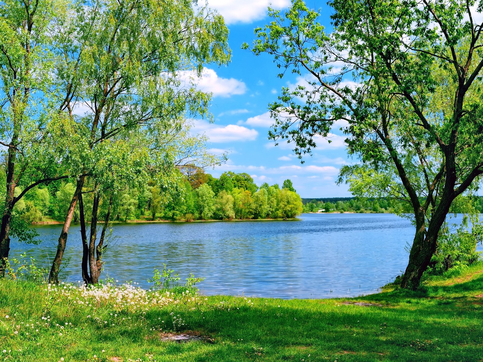 Обои небо, деревья, озеро, природа, лето, the sky, trees, lake, nature, summer разрешение 2400x1600 Загрузить