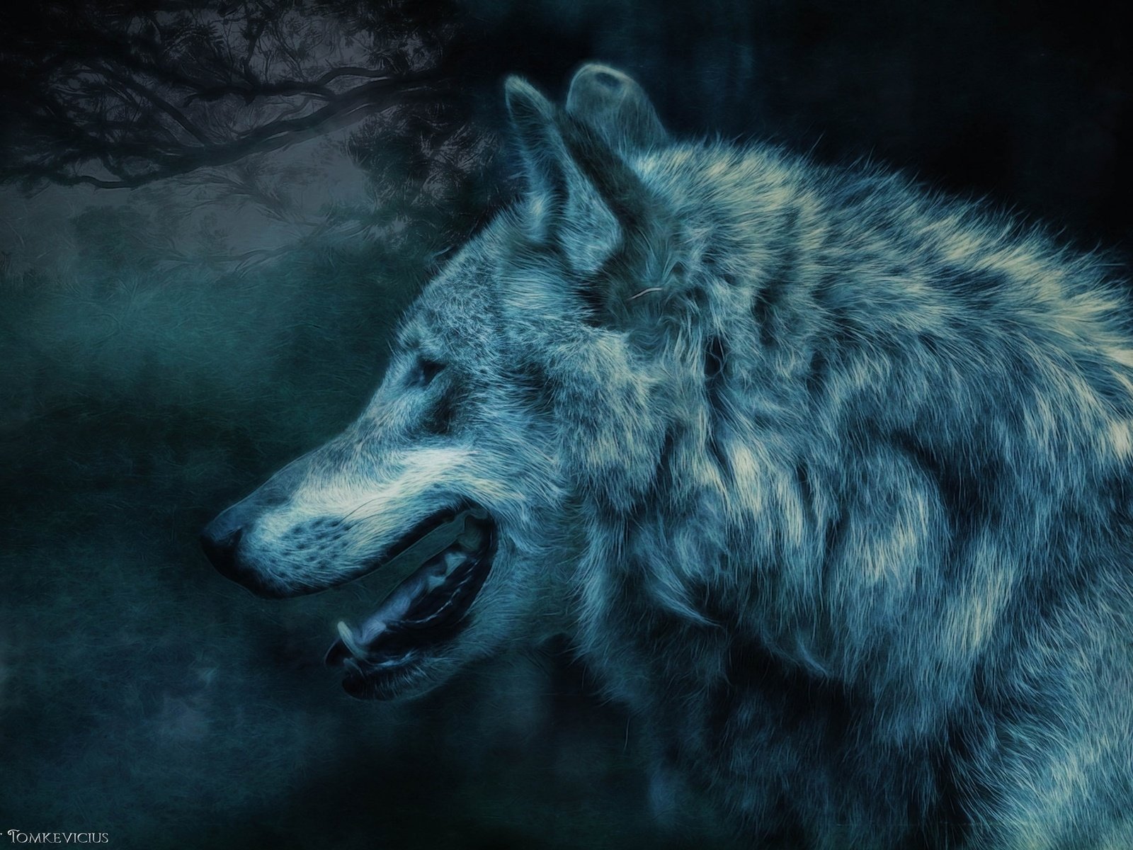 Обои ночь, лес, хищник, профиль, волк, night, forest, predator, profile, wolf разрешение 2048x1327 Загрузить