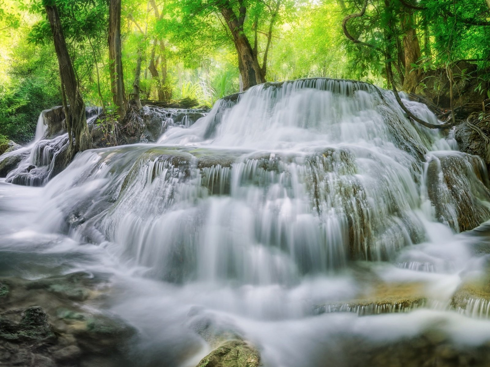 Обои деревья, вода, лес, водопад, поток, trees, water, forest, waterfall, stream разрешение 2048x1327 Загрузить