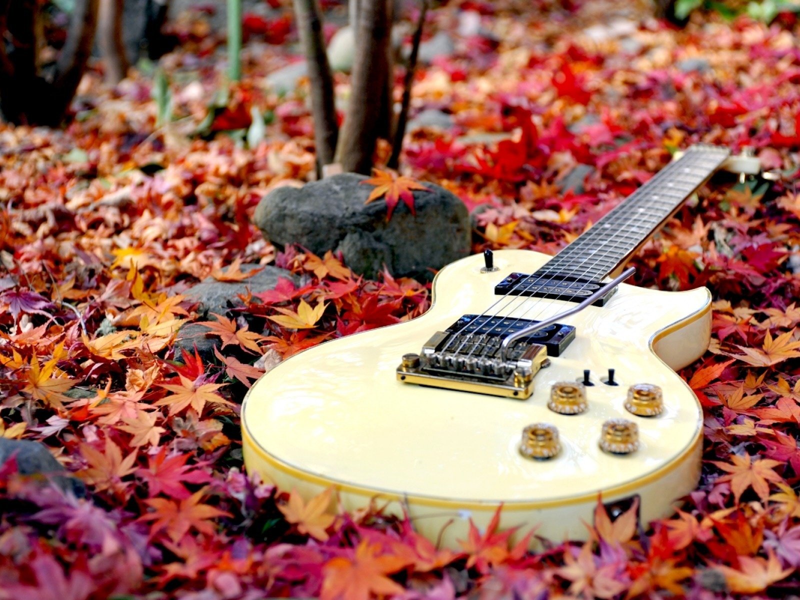 Гитара осень листья