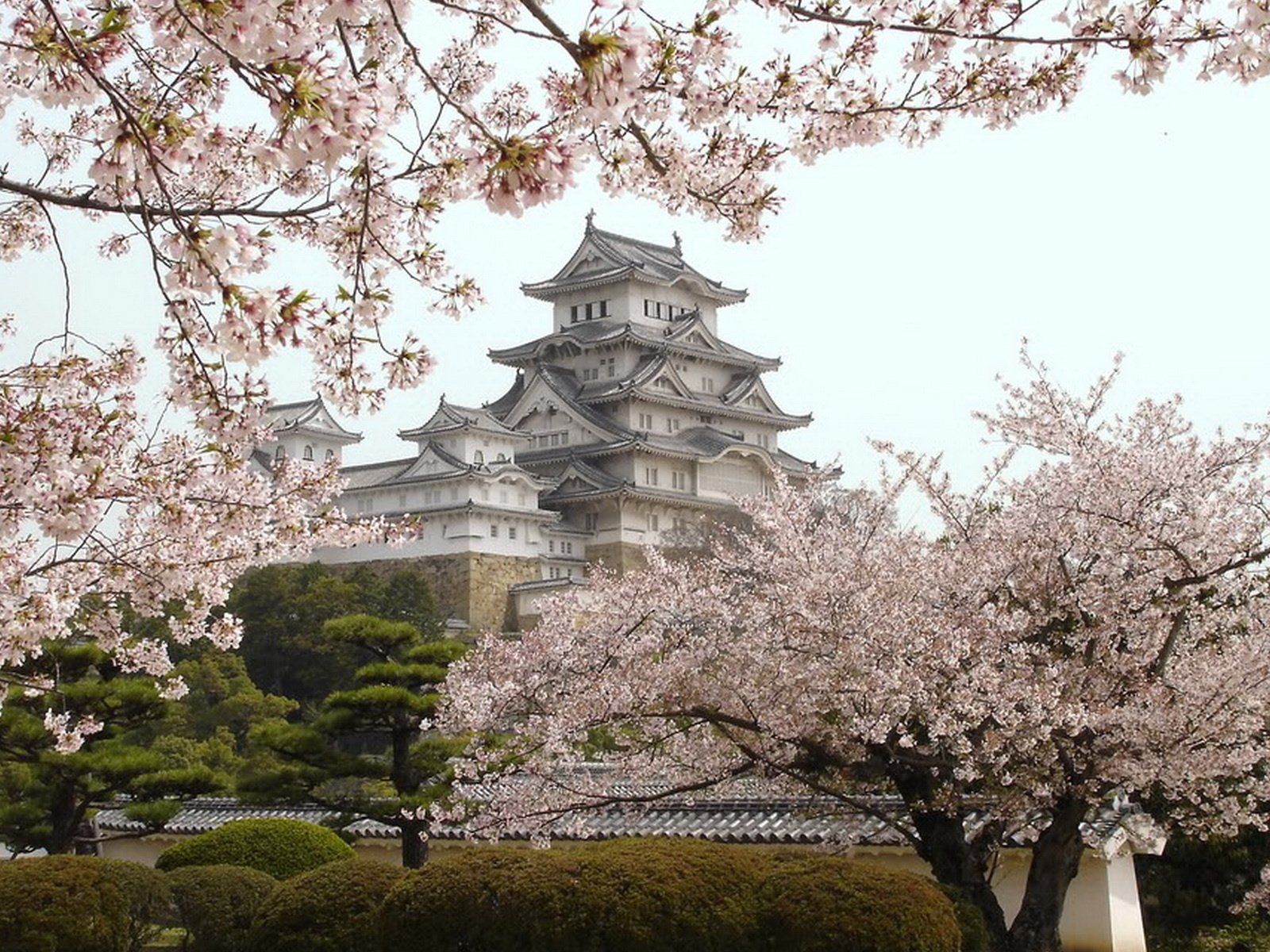 Замок Мацумото замок Химэдзи