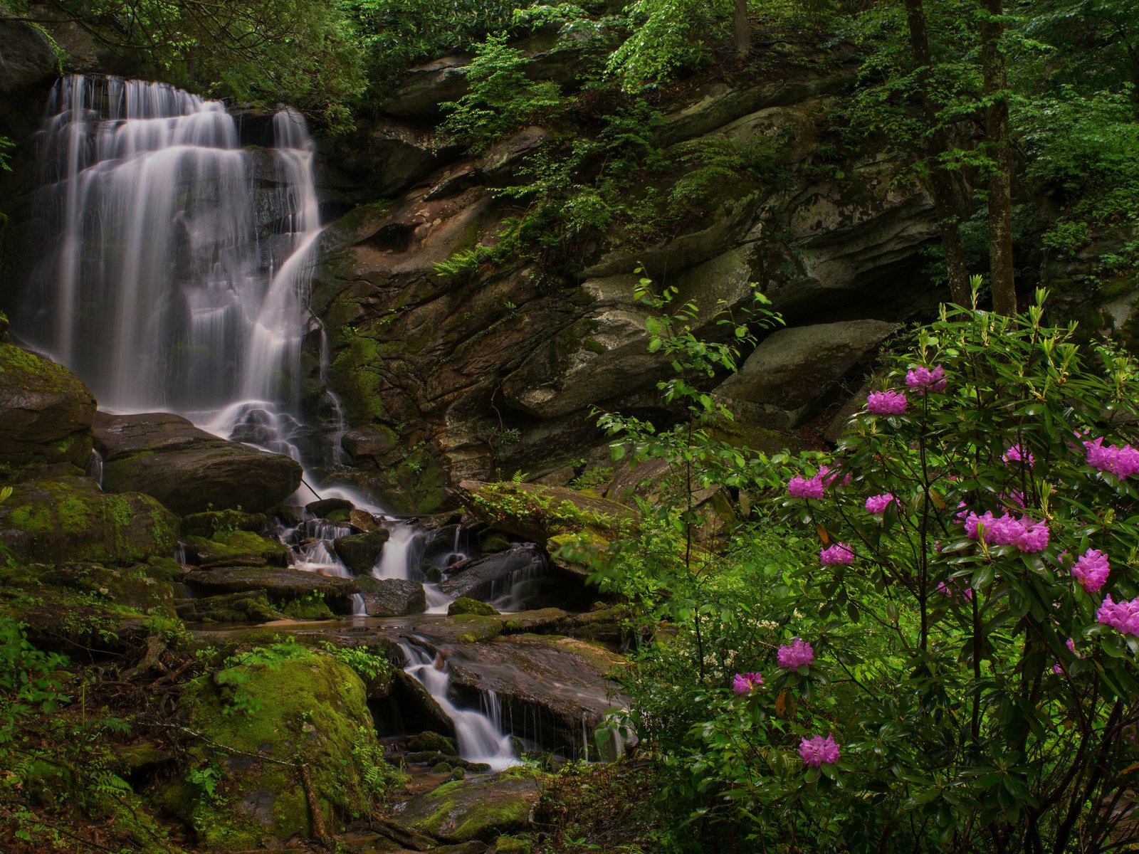 Обои скалы, водопад, куст, рододендроны, северная каролина, seven falls, этова, rocks, waterfall, bush, rhododendrons, north carolina, etowah разрешение 2048x1352 Загрузить