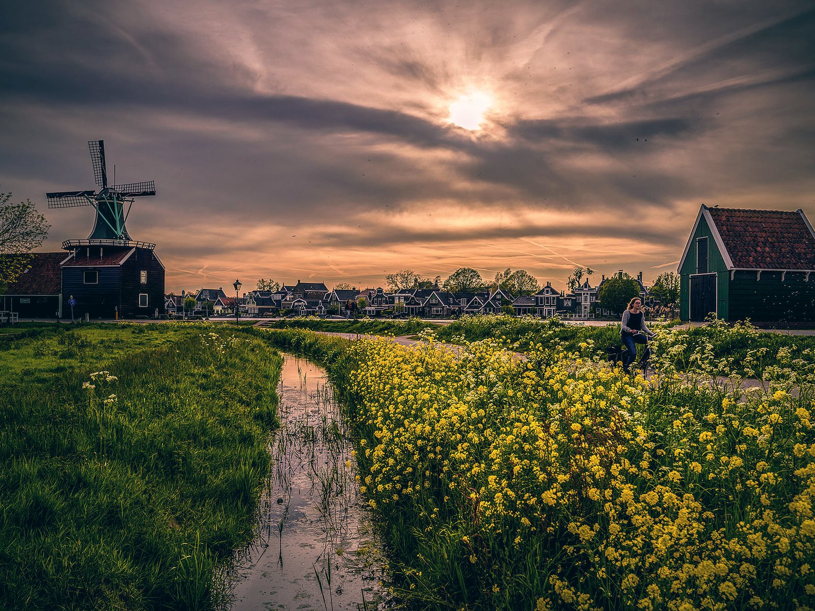 Обои небо, цветы, мельница, дома, through the yellow furrow, the sky, flowers, mill, home разрешение 2000x1335 Загрузить