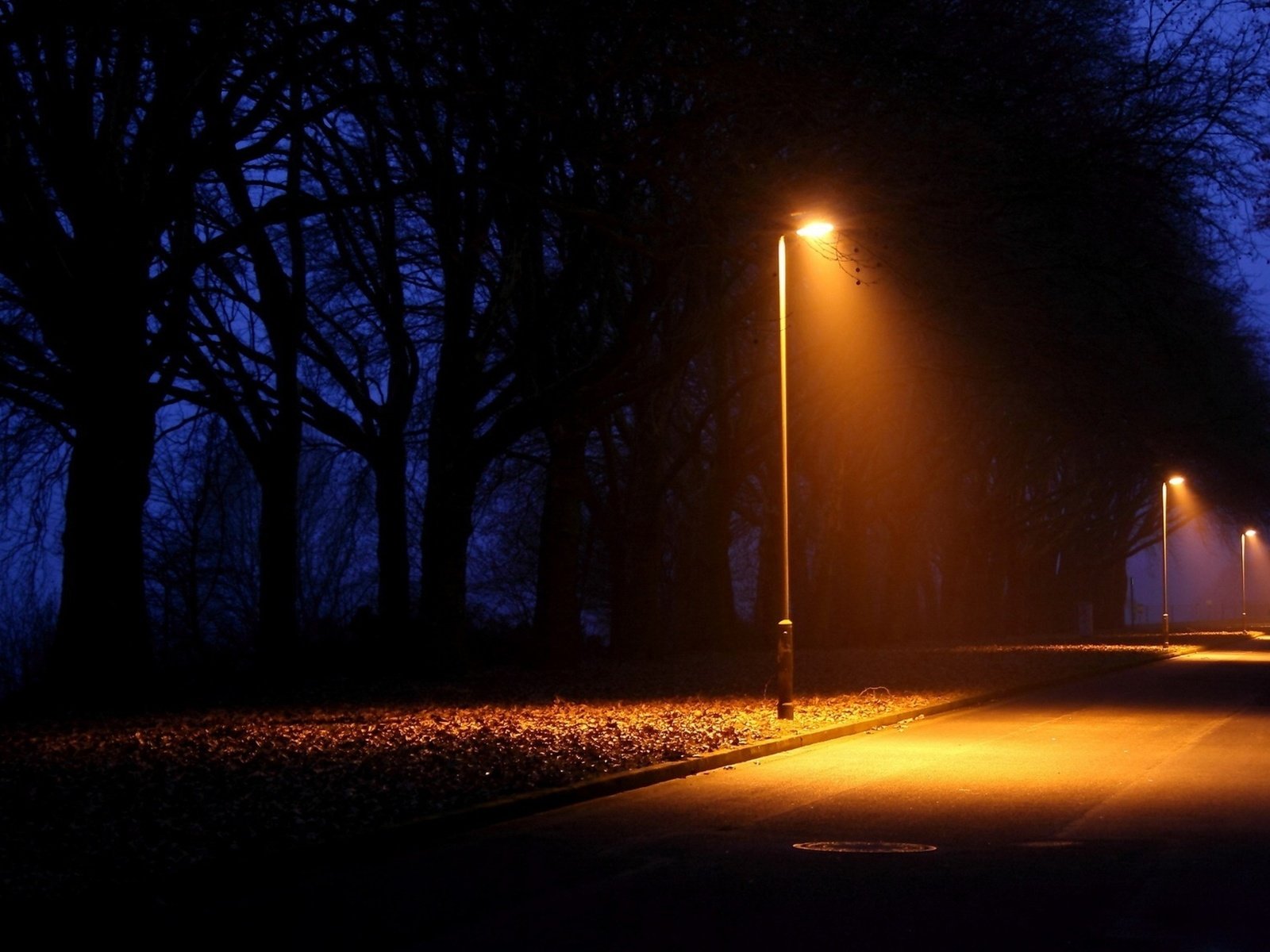 природа лавочка фонарь дорога ночь без смс