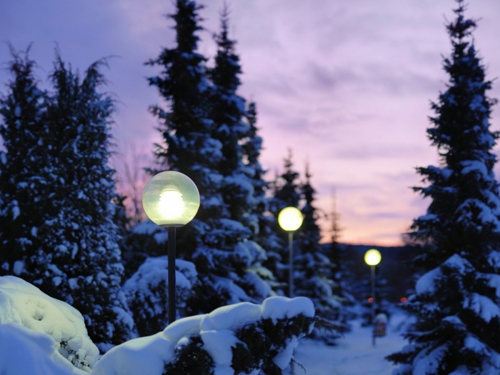 Обои деревья, фонари, огни, вечер, снег, природа, зима, trees, lights, the evening, snow, nature, winter разрешение 1920x1200 Загрузить