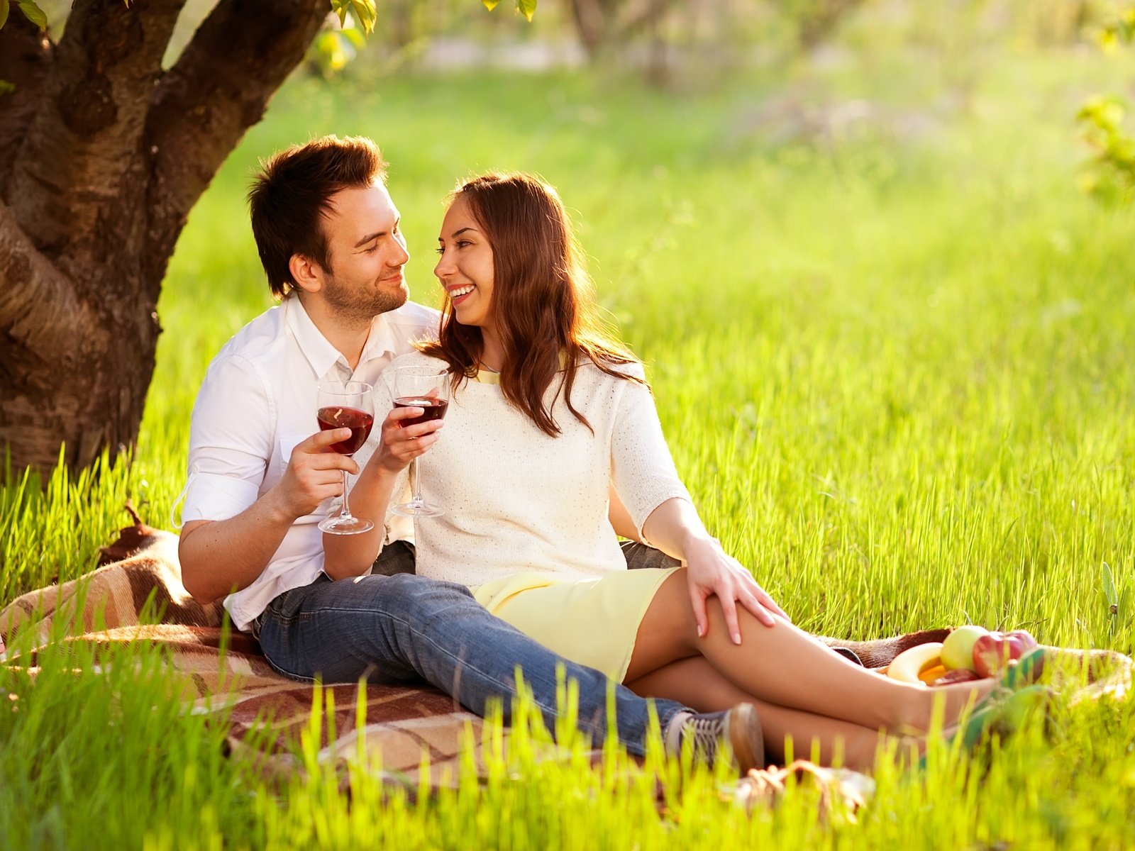 Обои природа, романтика, пара, отдых, вино, двое, пикник, nature, romance, pair, stay, wine, two, picnic разрешение 3861x2574 Загрузить