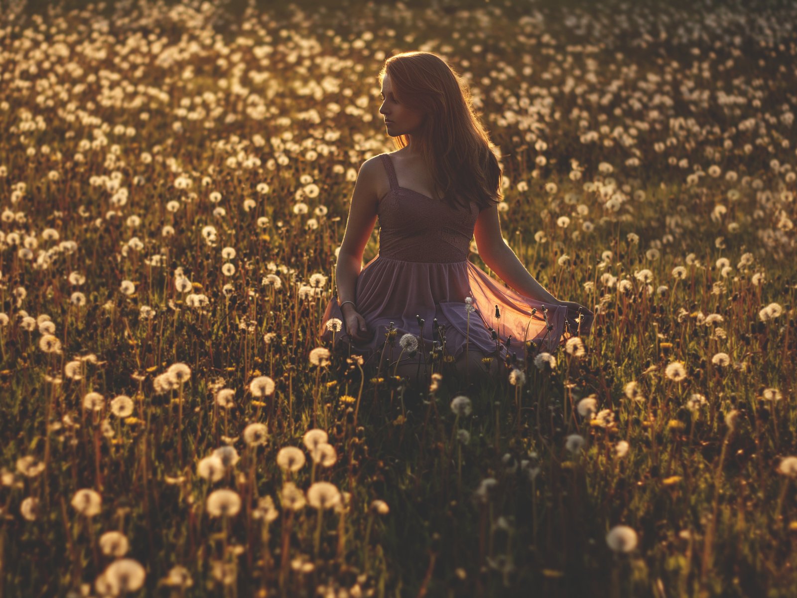 Обои цветы, девушка, платье, поле, одуванчики, flowers, girl, dress, field, dandelions разрешение 3708x2412 Загрузить