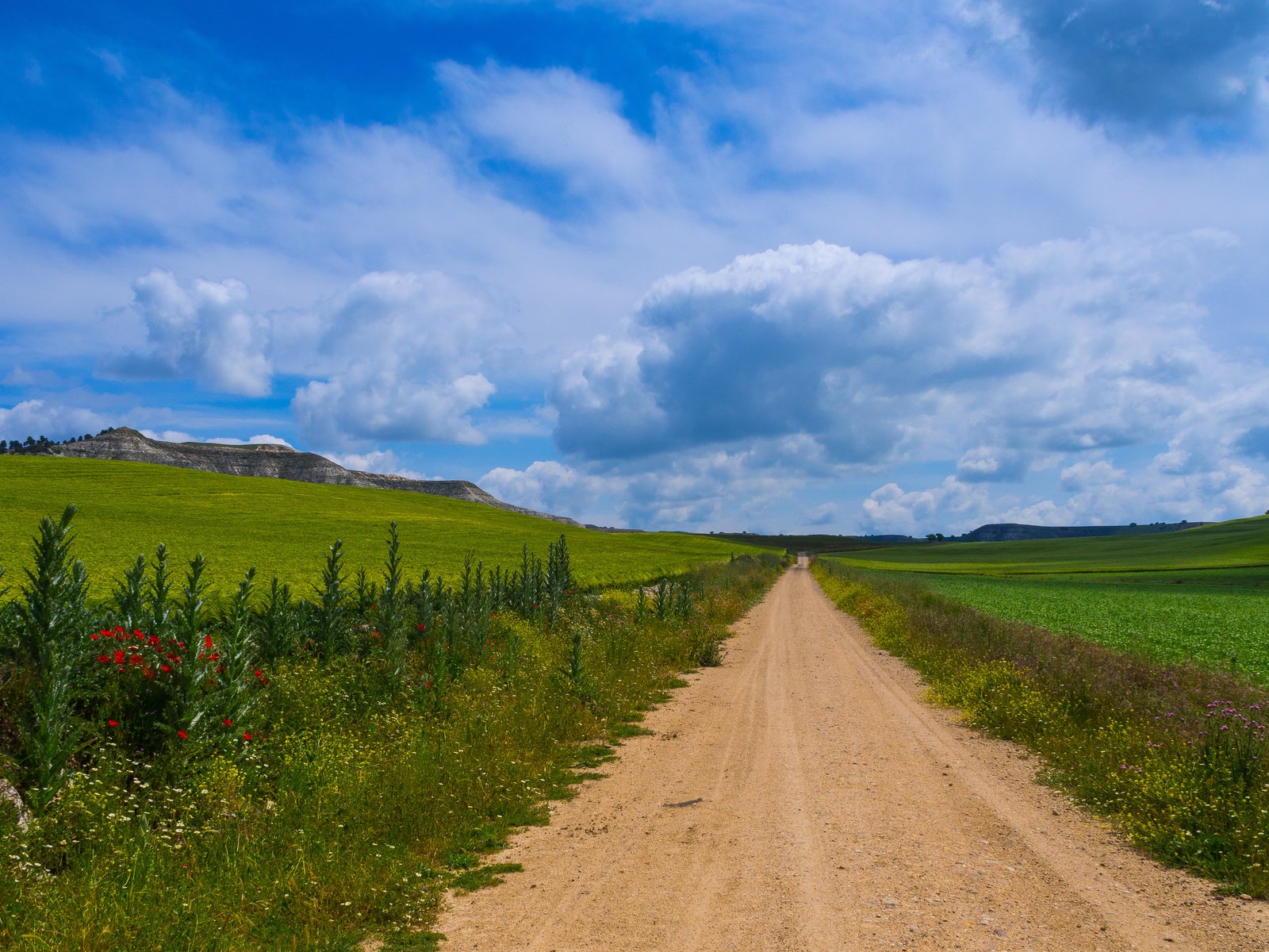 Обои дорога, цветы, трава, горы, природа, испания, кастилья, road, flowers, grass, mountains, nature, spain, castilla разрешение 4607x3126 Загрузить