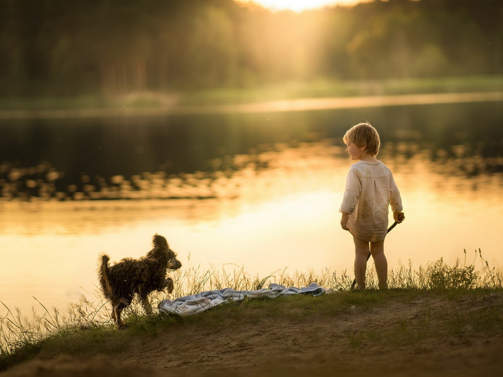 Обои озеро, утро, собака, мальчик, берег реки, lake, morning, dog, boy, the river разрешение 1920x1279 Загрузить