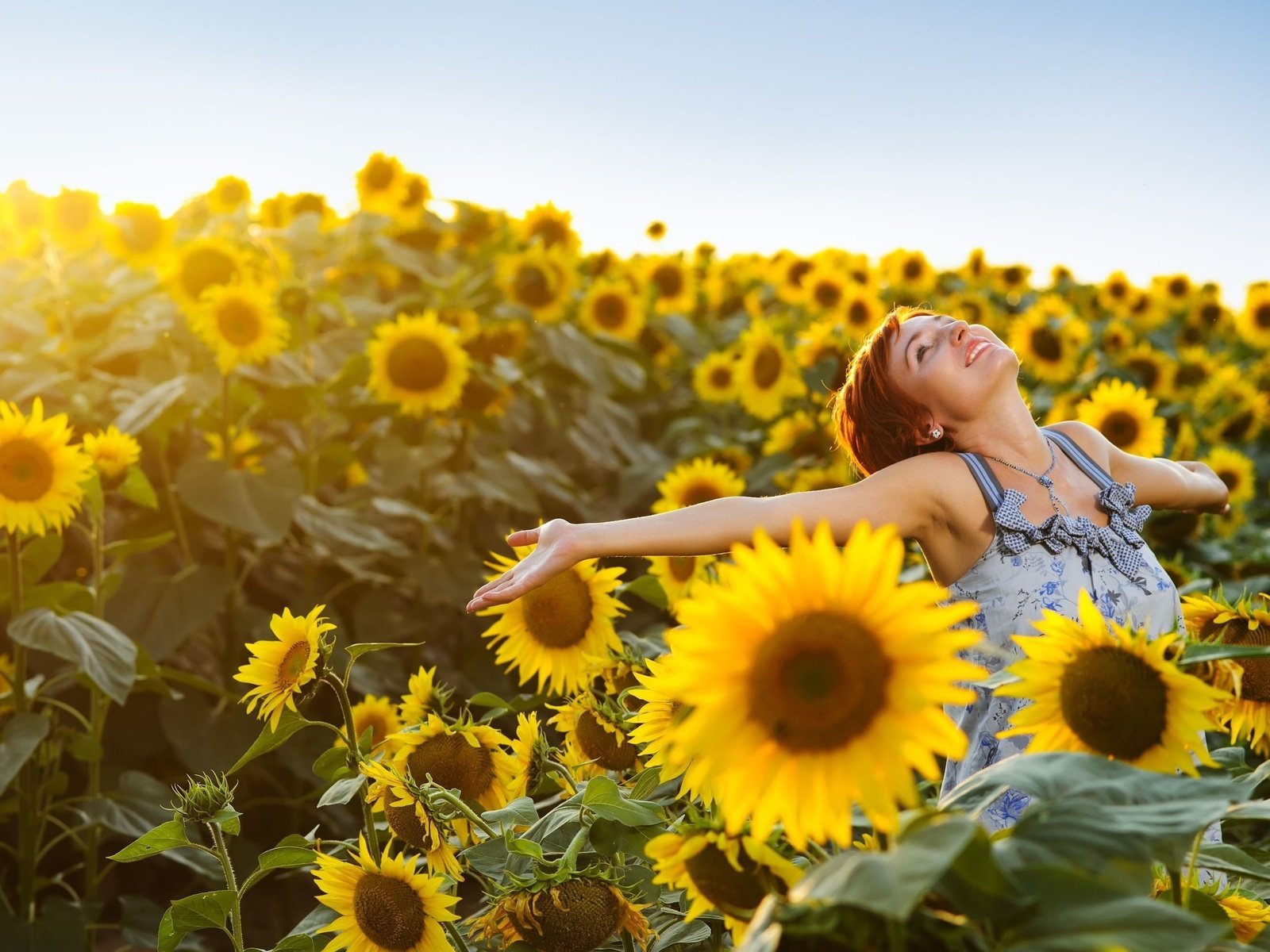 Обои природа, девушка, настроение, подсолнухи, рыжеволосая, nature, girl, mood, sunflowers, redhead разрешение 3600x2300 Загрузить