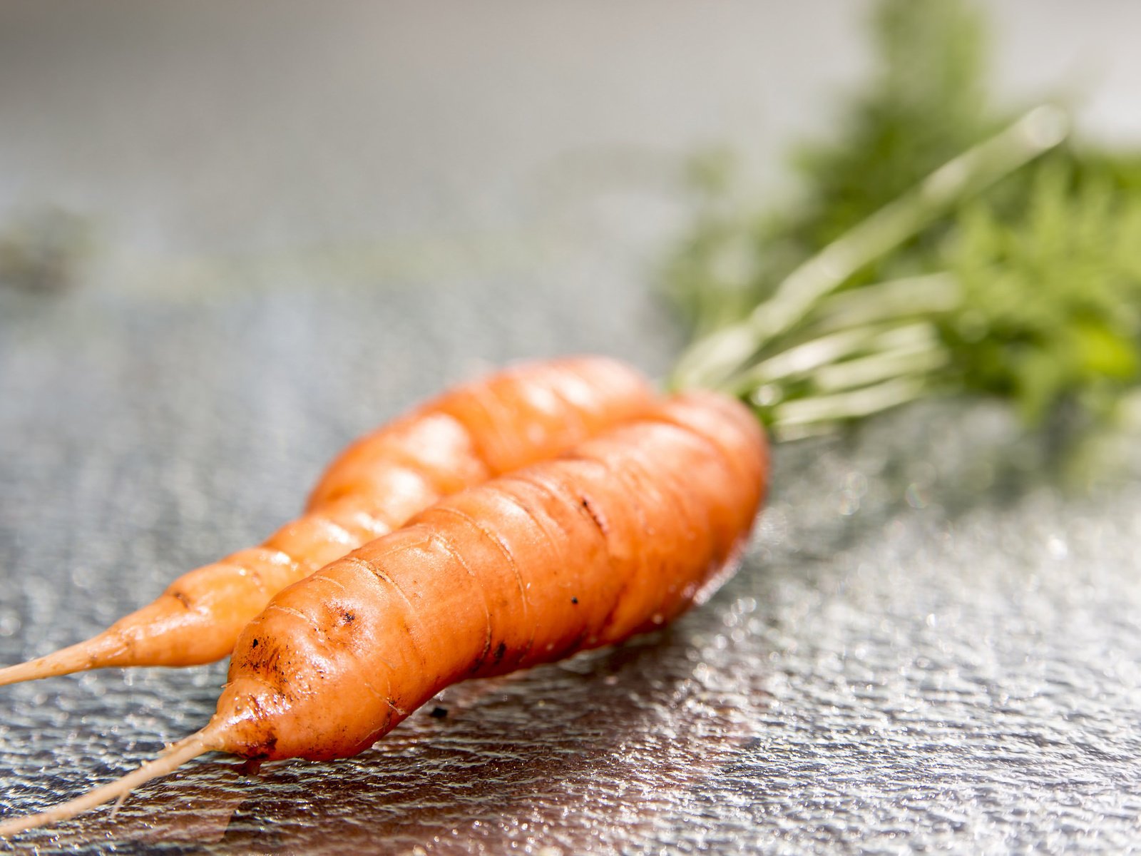 Обои макро, овощи, морковь, macro, vegetables, carrots разрешение 2048x1365 Загрузить