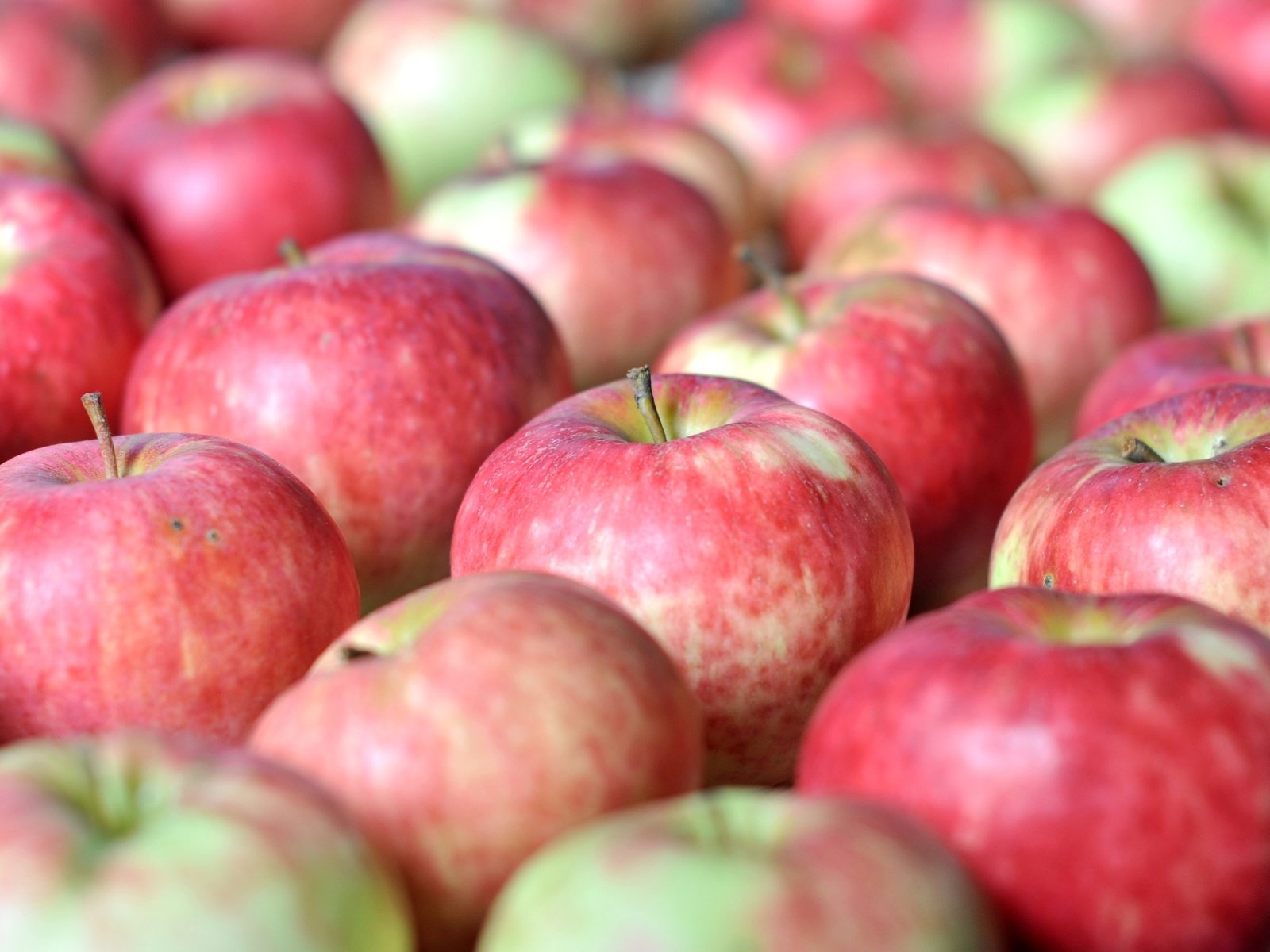 Обои макро, фрукты, яблоки, плоды, macro, fruit, apples разрешение 3000x1994 Загрузить