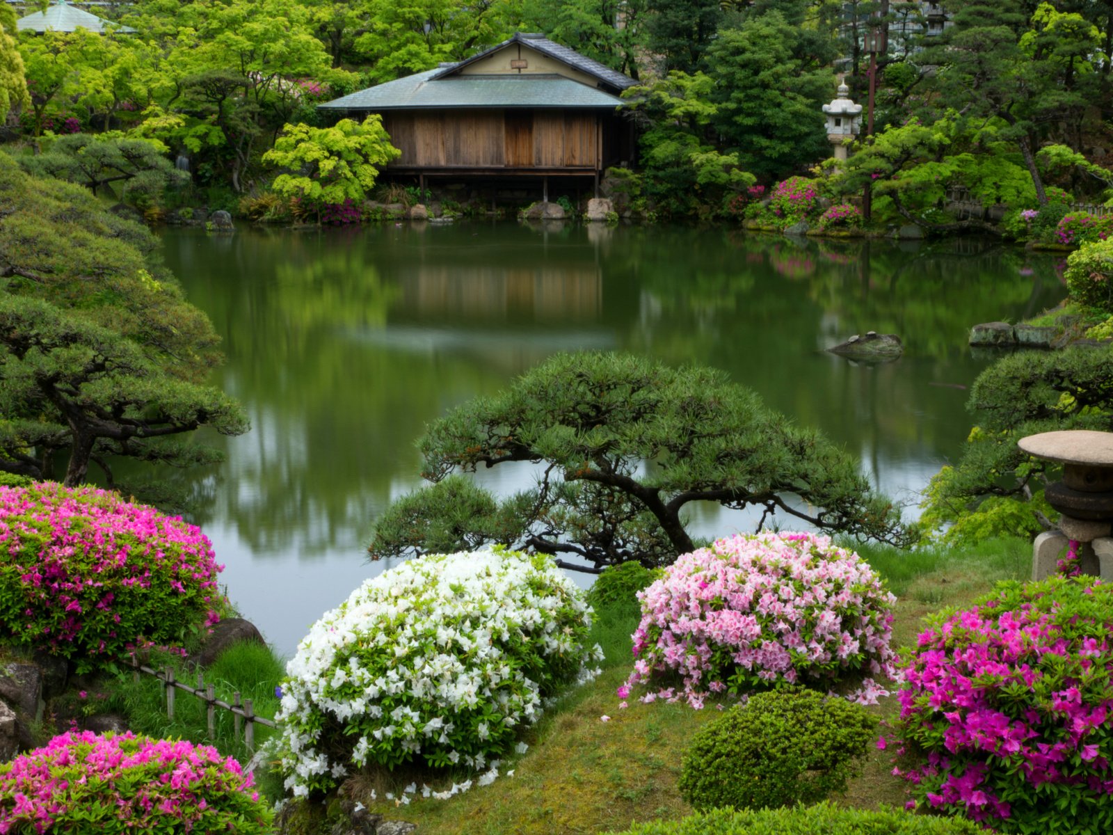 Обои кусты, япония, сад, домик, пруд, азалии, рододендрон, кобе, the bushes, japan, garden, house, pond, azaleas, rhododendron, kobe разрешение 2400x1600 Загрузить