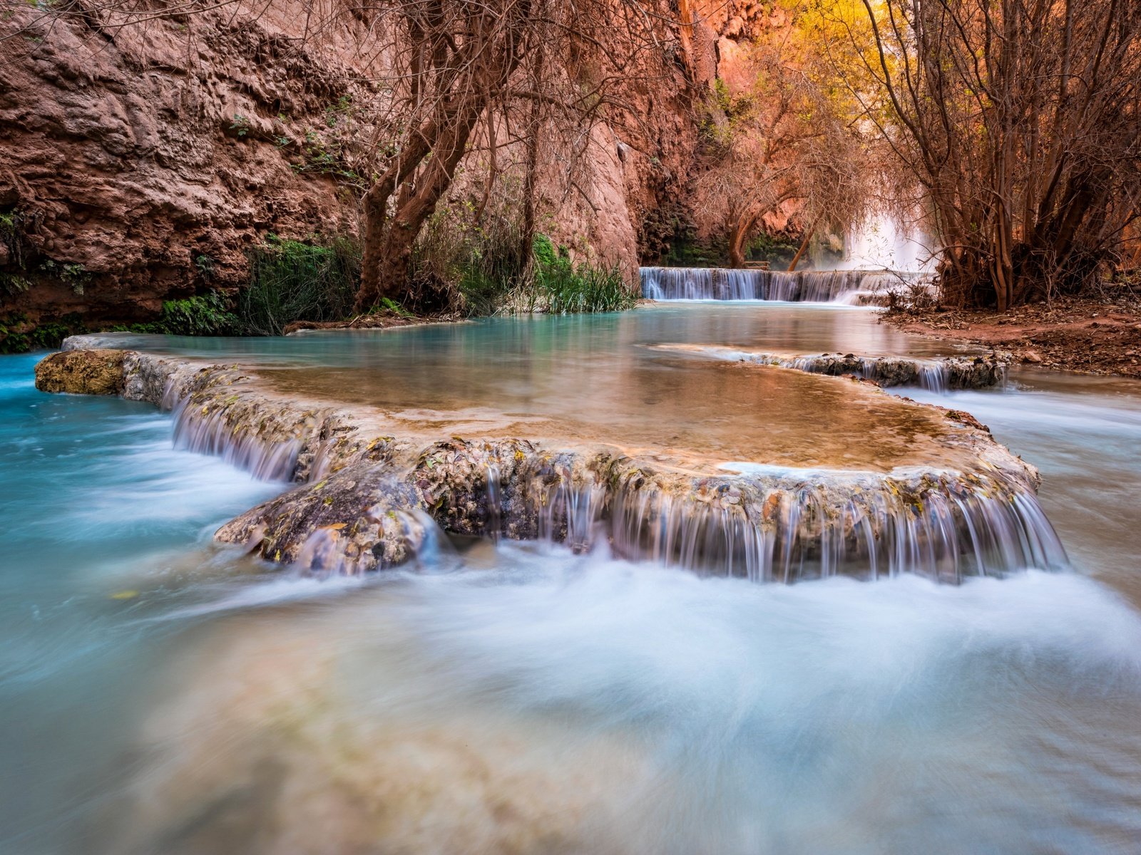 Обои деревья, grand canyon, каскад, река, штат аризона, скалы, havasupai, природа, michael wilson, ручей, водопад, каньон, сша, trees, cascade, river, arizona, rocks, nature, stream, waterfall, canyon, usa разрешение 2880x1923 Загрузить