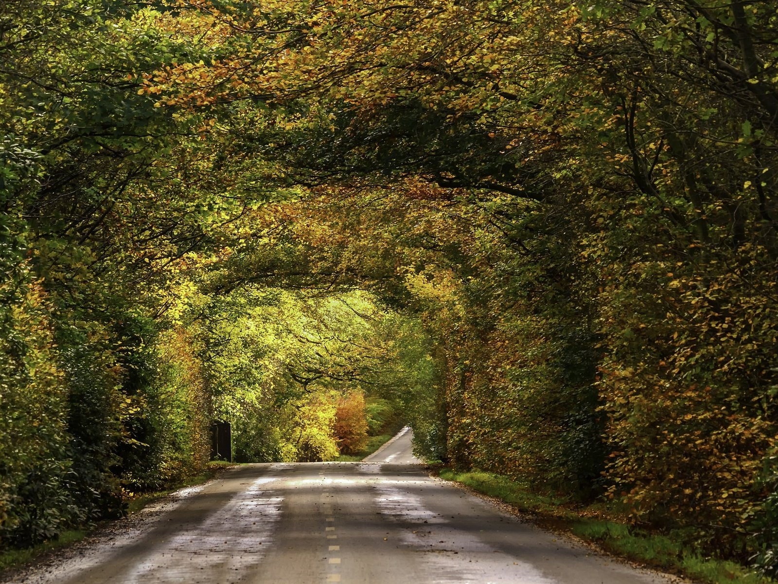 Обои дорога, листва, осень, опадают, осен, автодорога, road, foliage, autumn, fall разрешение 2009x1314 Загрузить