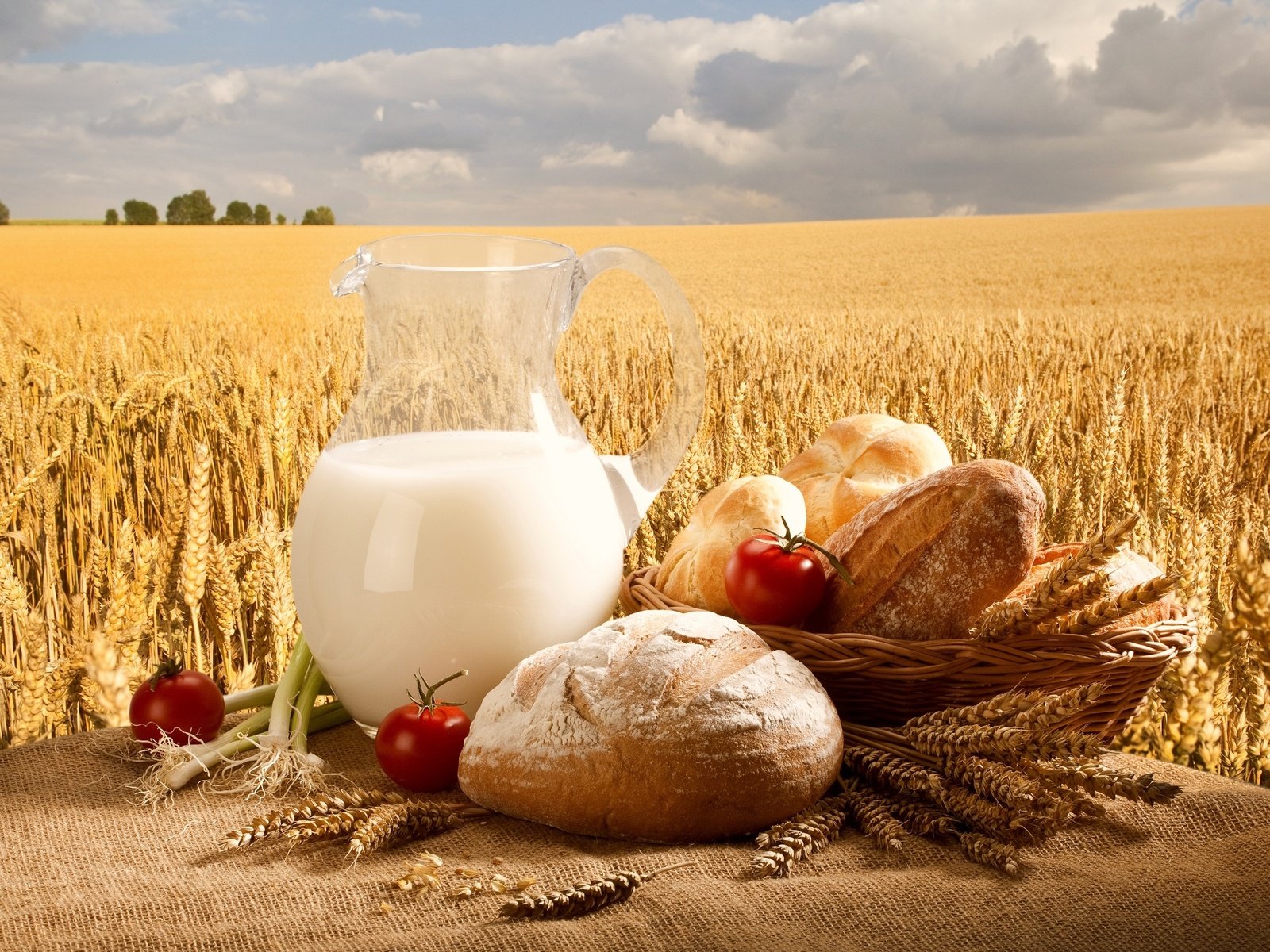 Обои поля, еда, пшеница, хлеб, молоко, кувшин, продукты, пища, field, food, wheat, bread, milk, pitcher, products разрешение 3000x2000 Загрузить