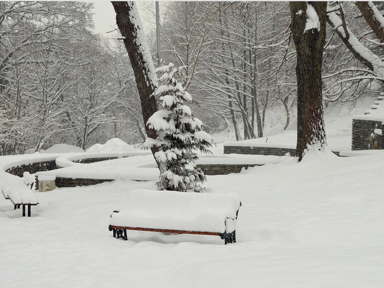 Обои деревья, снег, зима, парк, мороз, скамейки, сугробы, изморозь, trees, snow, winter, park, frost, benches, the snow разрешение 3016x1875 Загрузить