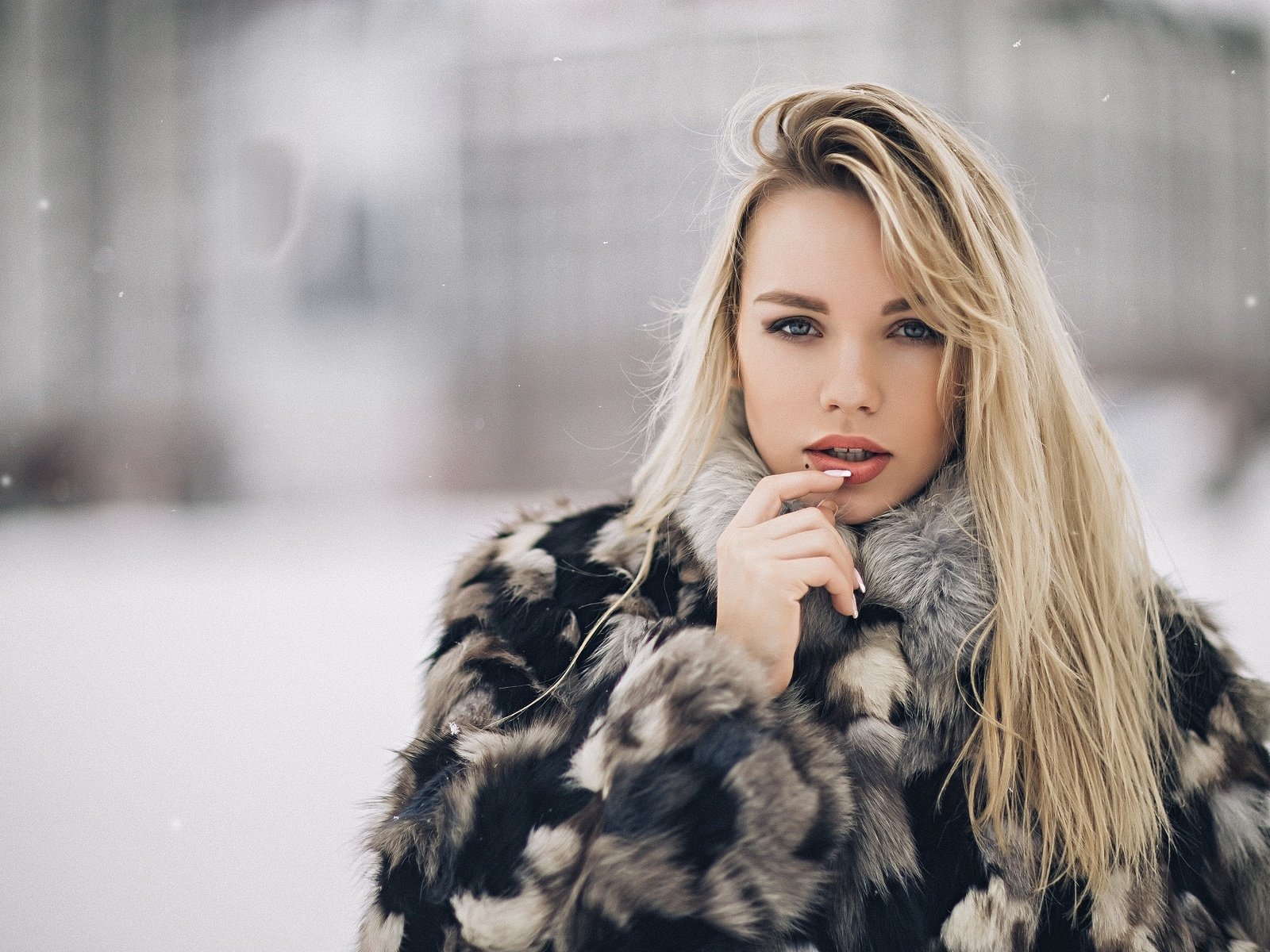 Обои зима, девушка, блондинка, модель, меха, шуба, winter, girl, blonde, model, fur, coat разрешение 2048x1365 Загрузить