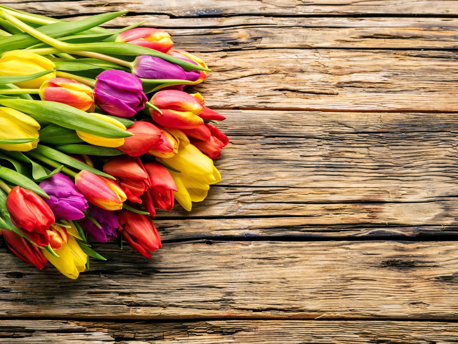 Обои цветы, парное, весна, весенние, красочная, букет, тюльпаны, дерева, красива, тульпаны,  цветы, яркая, flowers, fresh, spring, colorful, bouquet, tulips, wood, beautiful, bright разрешение 6309x4206 Загрузить