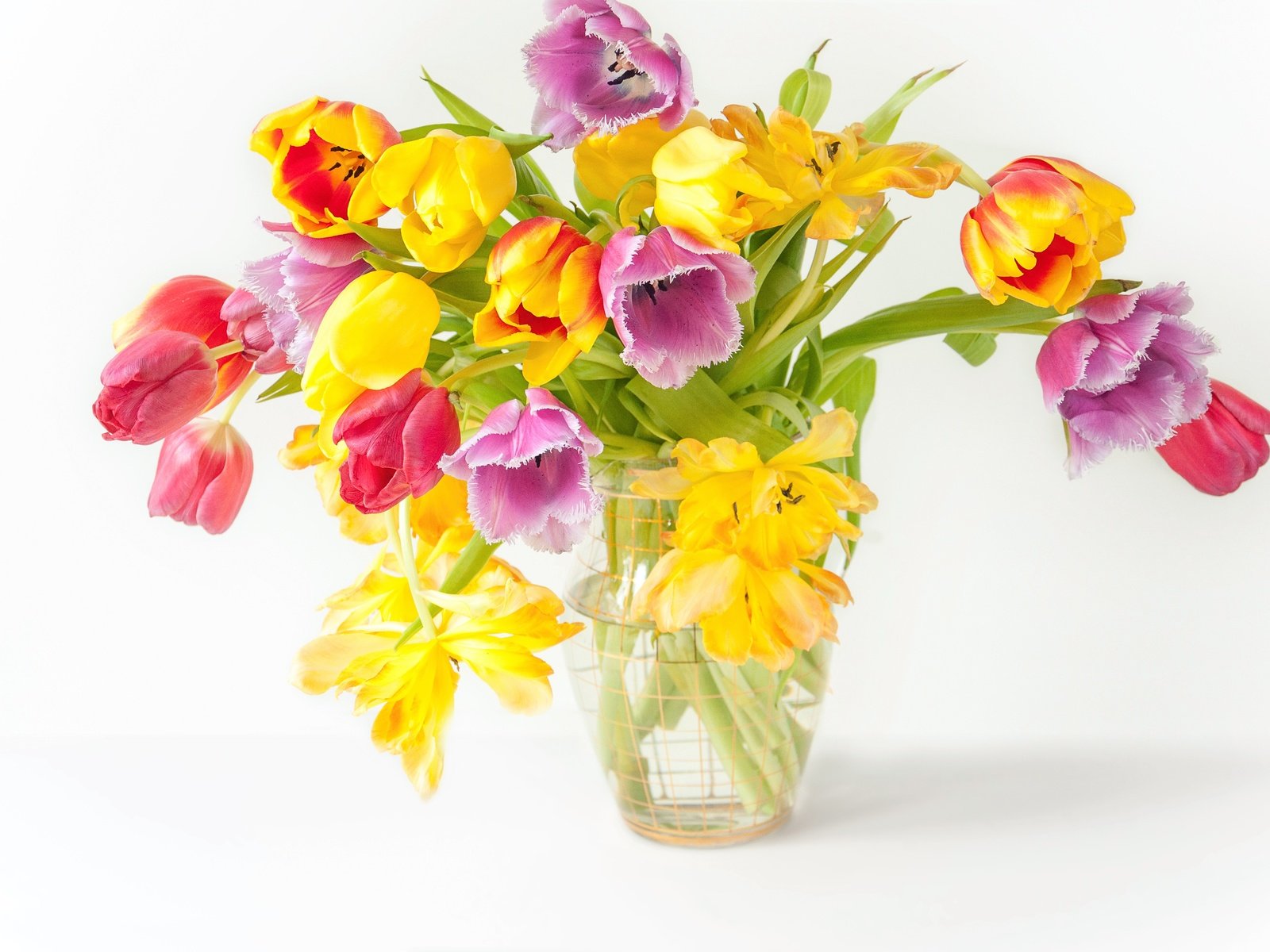 Обои цветы, парное, весна, весенние, красочная, букет, тюльпаны, дерева, красива, тульпаны,  цветы, яркая, flowers, fresh, spring, colorful, bouquet, tulips, wood, beautiful, bright разрешение 4288x2848 Загрузить