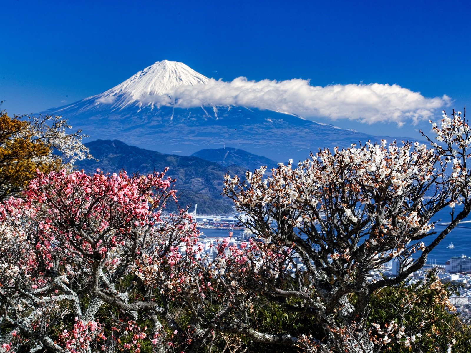 Обои деревья, горы, пейзаж, город, весна, trees, mountains, landscape, the city, spring разрешение 2048x1365 Загрузить