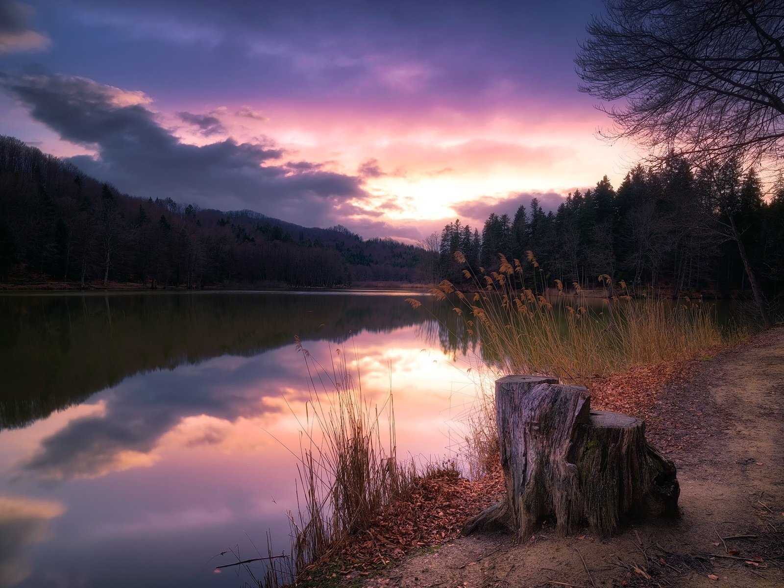 Обои деревья, озеро, закат, пень, trees, lake, sunset, stump разрешение 2000x1235 Загрузить