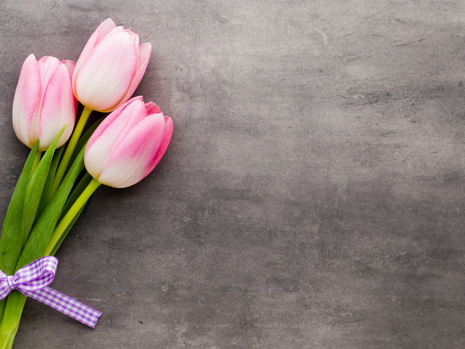 Обои цветы, пинк, букет, тюльпаны, розовые, красива, тульпаны,  цветы, парное, весенние, flowers, bouquet, tulips, pink, beautiful, fresh, spring разрешение 5472x3648 Загрузить