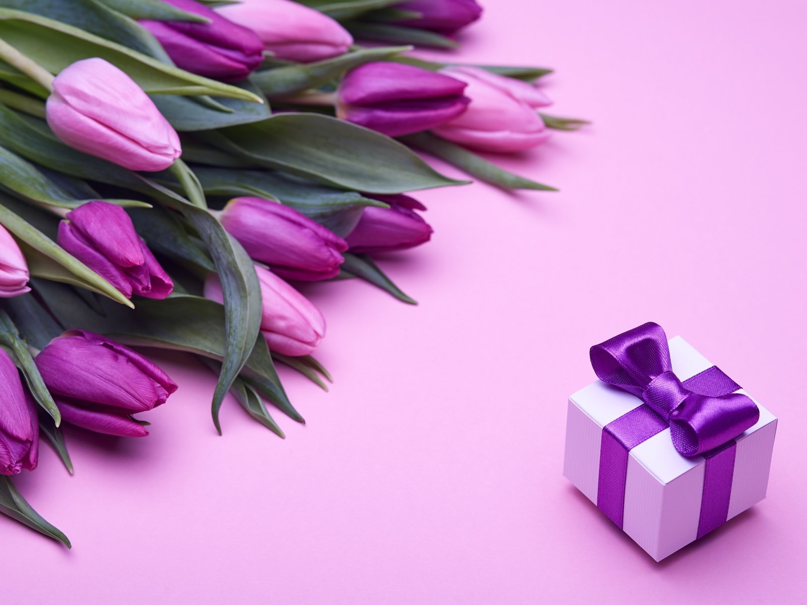 Обои букет, влюбленная, тюльпаны, пинк, розовые, лиловая, подарок, романтик, бант, тульпаны,  цветы, парное, fresh, bouquet, love, tulips, pink, purple, gift, romantic, bow, flowers разрешение 4992x3328 Загрузить