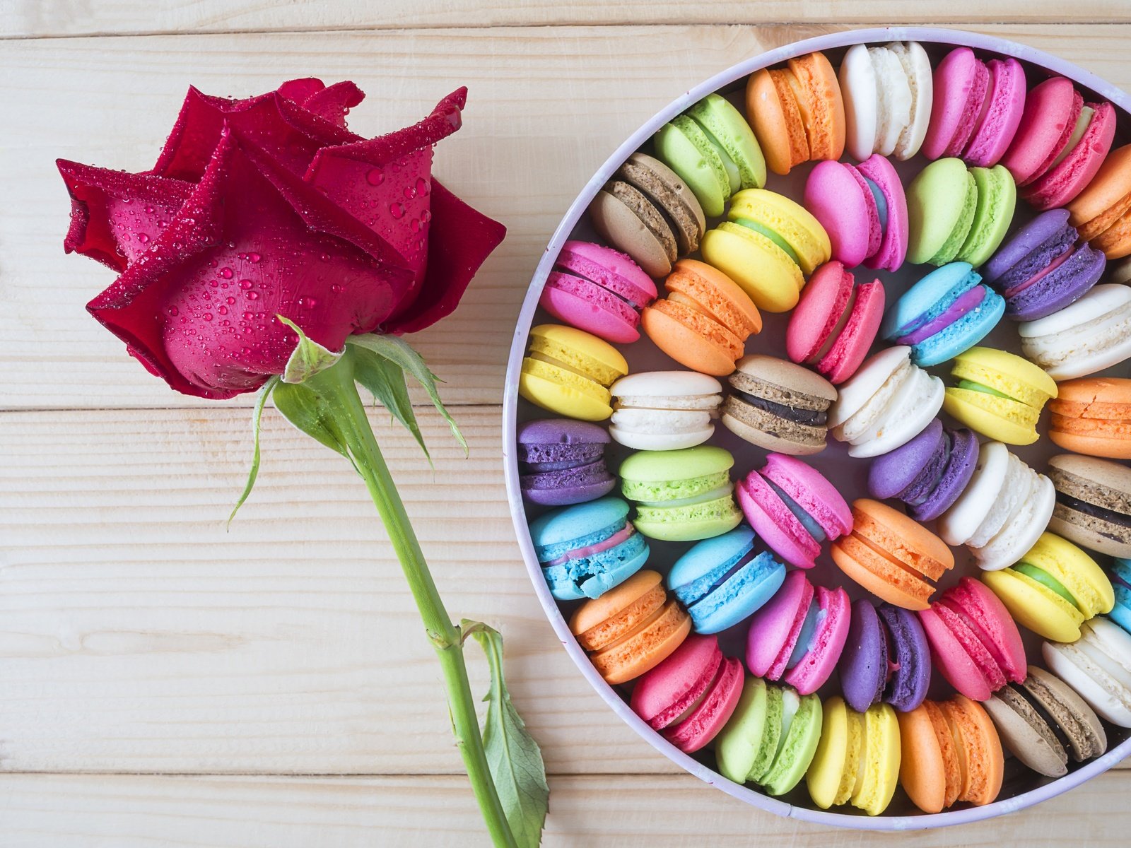 Обои цветок, роза, окрас, коробка, печенье, макарун, flower, rose, color, box, cookies, macaron разрешение 4592x3448 Загрузить