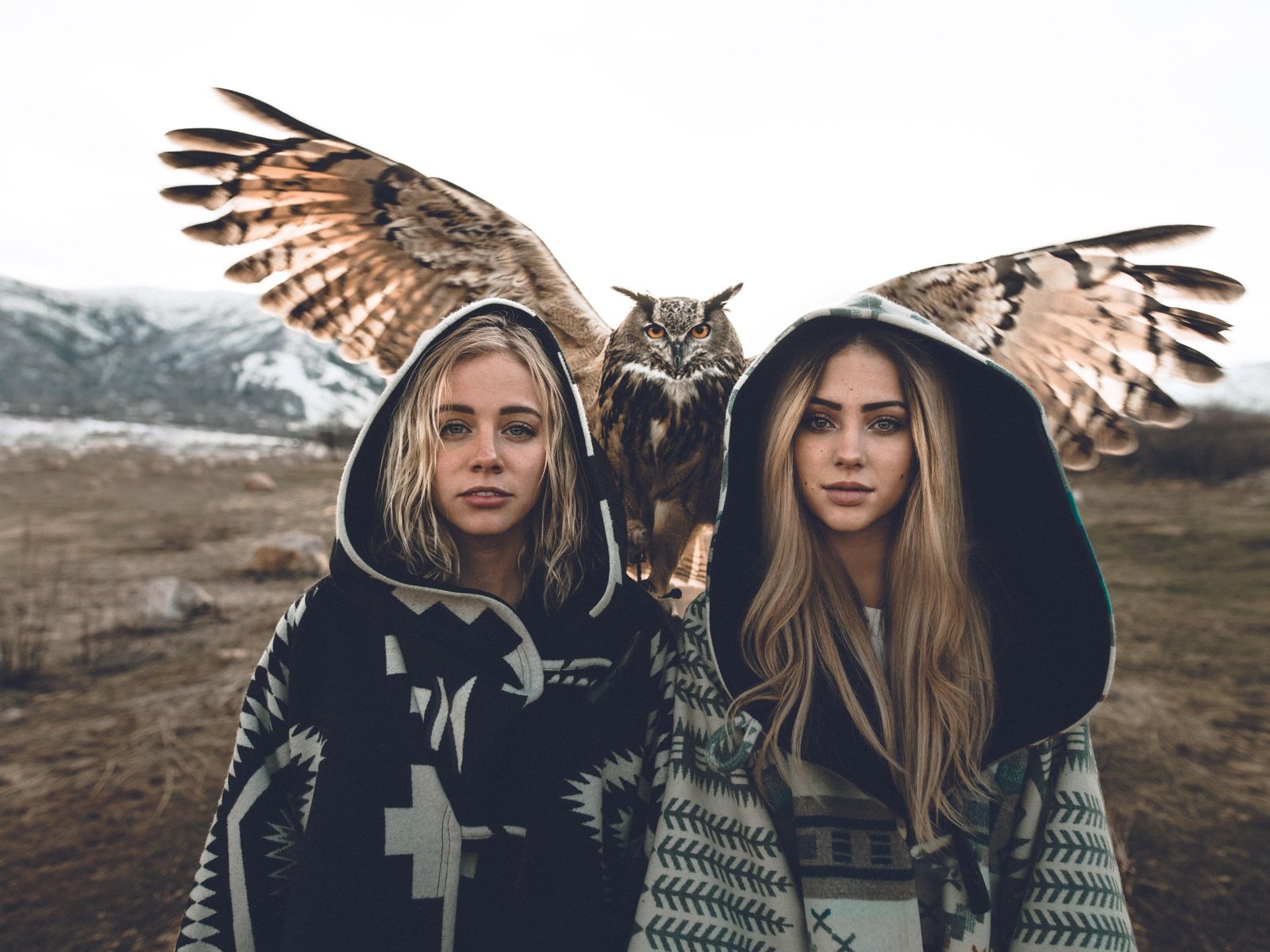 Обои сова, взгляд, девушки, птица, волосы, модели, блондинки, owl, look, girls, bird, hair, model, blonde разрешение 7952x5304 Загрузить