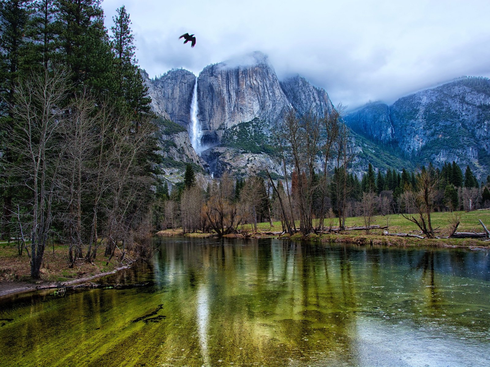 Обои деревья, йосемити, река, горы, скалы, лес, водопад, птица, сша, trees, yosemite, river, mountains, rocks, forest, waterfall, bird, usa разрешение 3000x2000 Загрузить