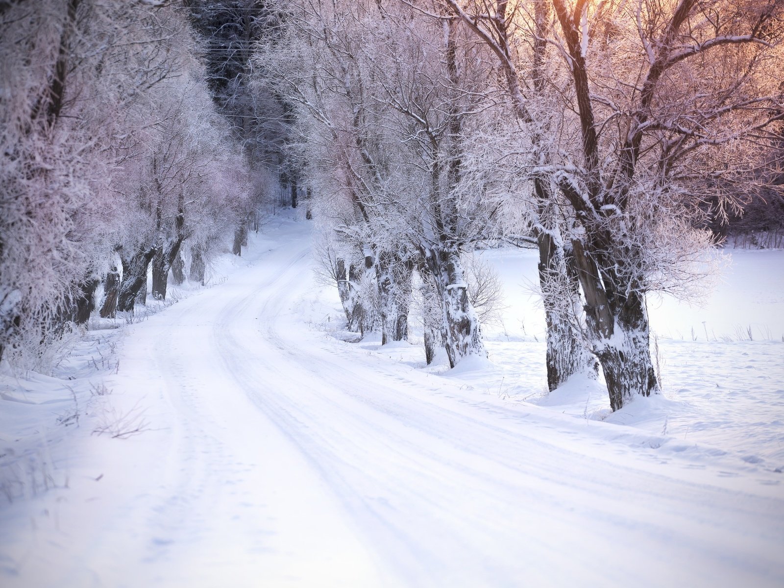 Обои дорога, деревья, снег, зима, road, trees, snow, winter разрешение 2048x1365 Загрузить