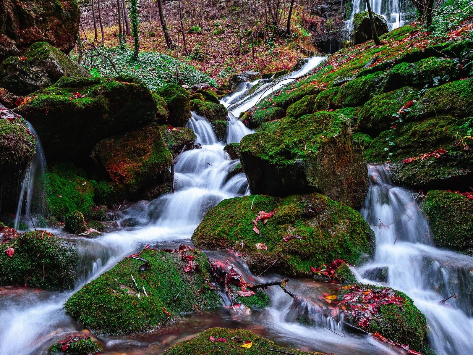 Обои вода, камни, ручей, водопад, поток, мох, water, stones, stream, waterfall, moss разрешение 2048x1280 Загрузить