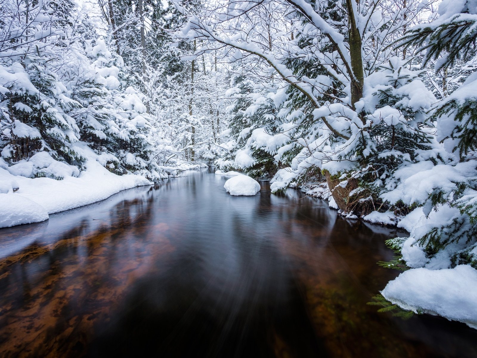 Обои деревья, река, снег, лес, зима, ели, trees, river, snow, forest, winter, ate разрешение 2048x1365 Загрузить