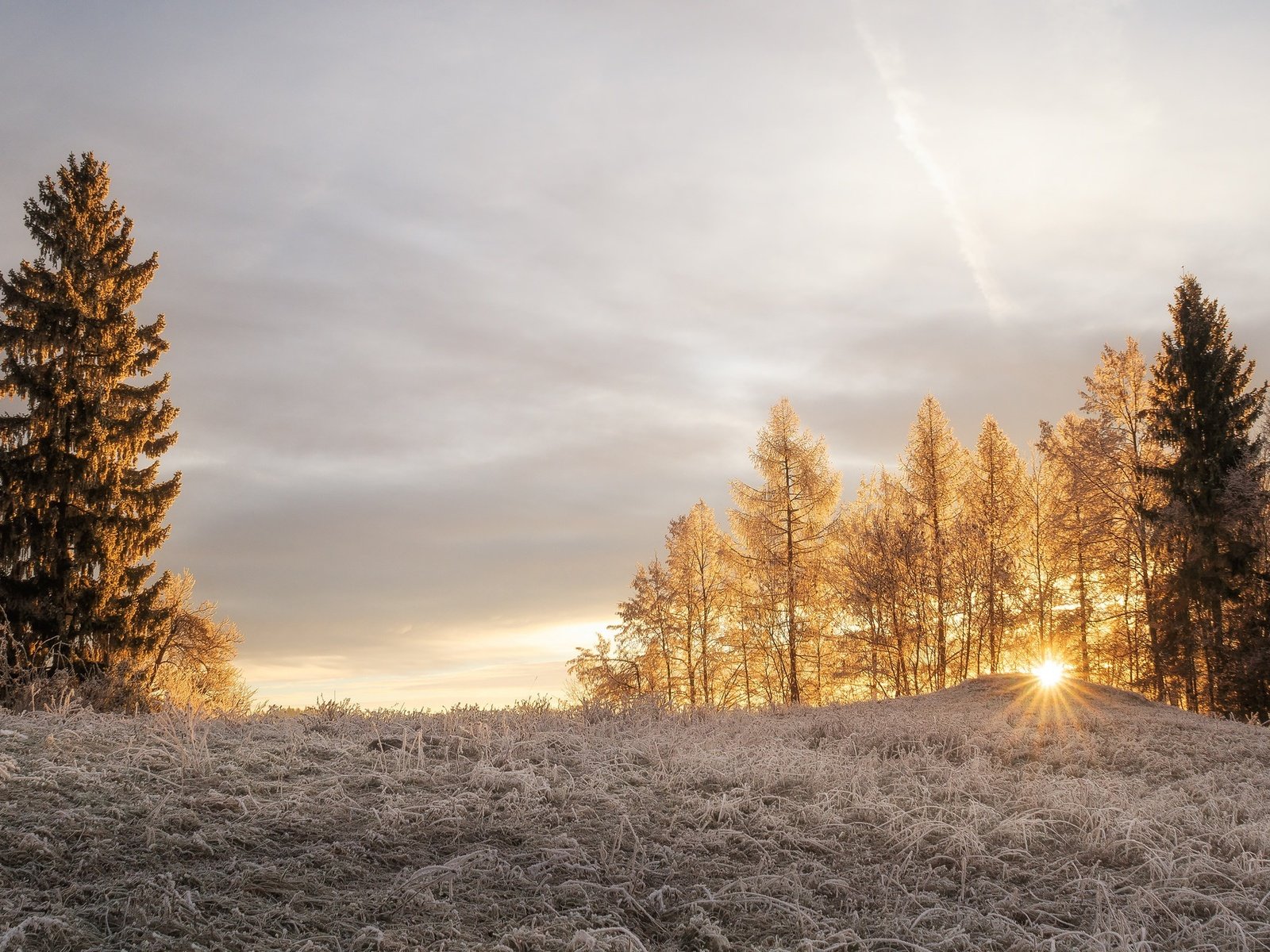 Обои свет, деревья, солнце, зима, лучи, утро, иней, light, trees, the sun, winter, rays, morning, frost разрешение 2048x1280 Загрузить