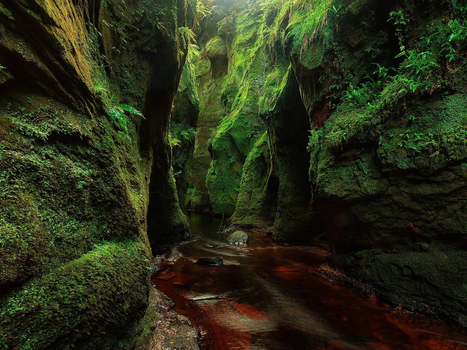 Обои скалы, камни, зелень, ручей, мох, шотландия, finnich glen, rocks, stones, greens, stream, moss, scotland разрешение 2000x1250 Загрузить