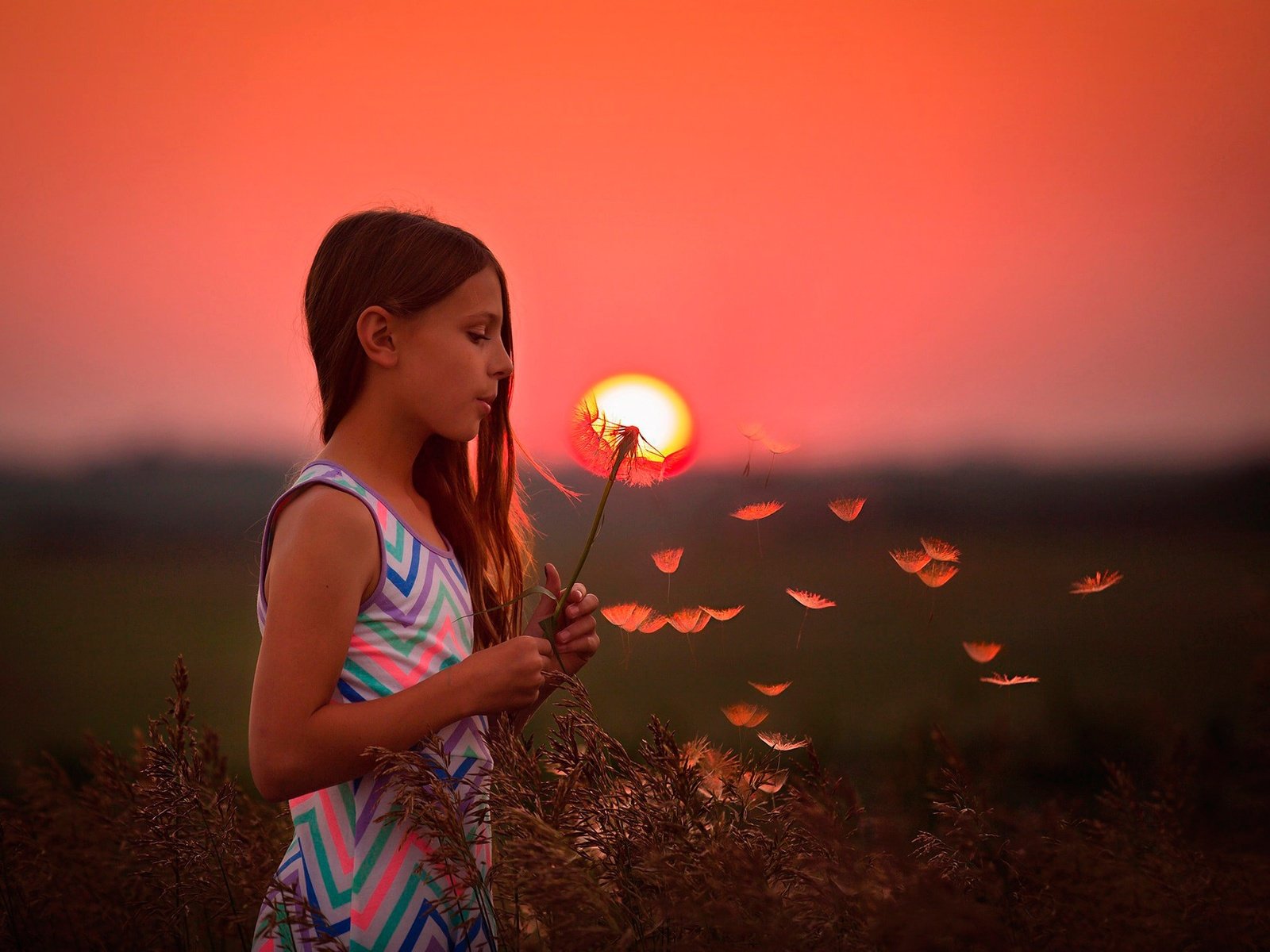 Обои солнце, закат, дети, девочка, волосы, лицо, одуванчик, the sun, sunset, children, girl, hair, face, dandelion разрешение 2048x1463 Загрузить