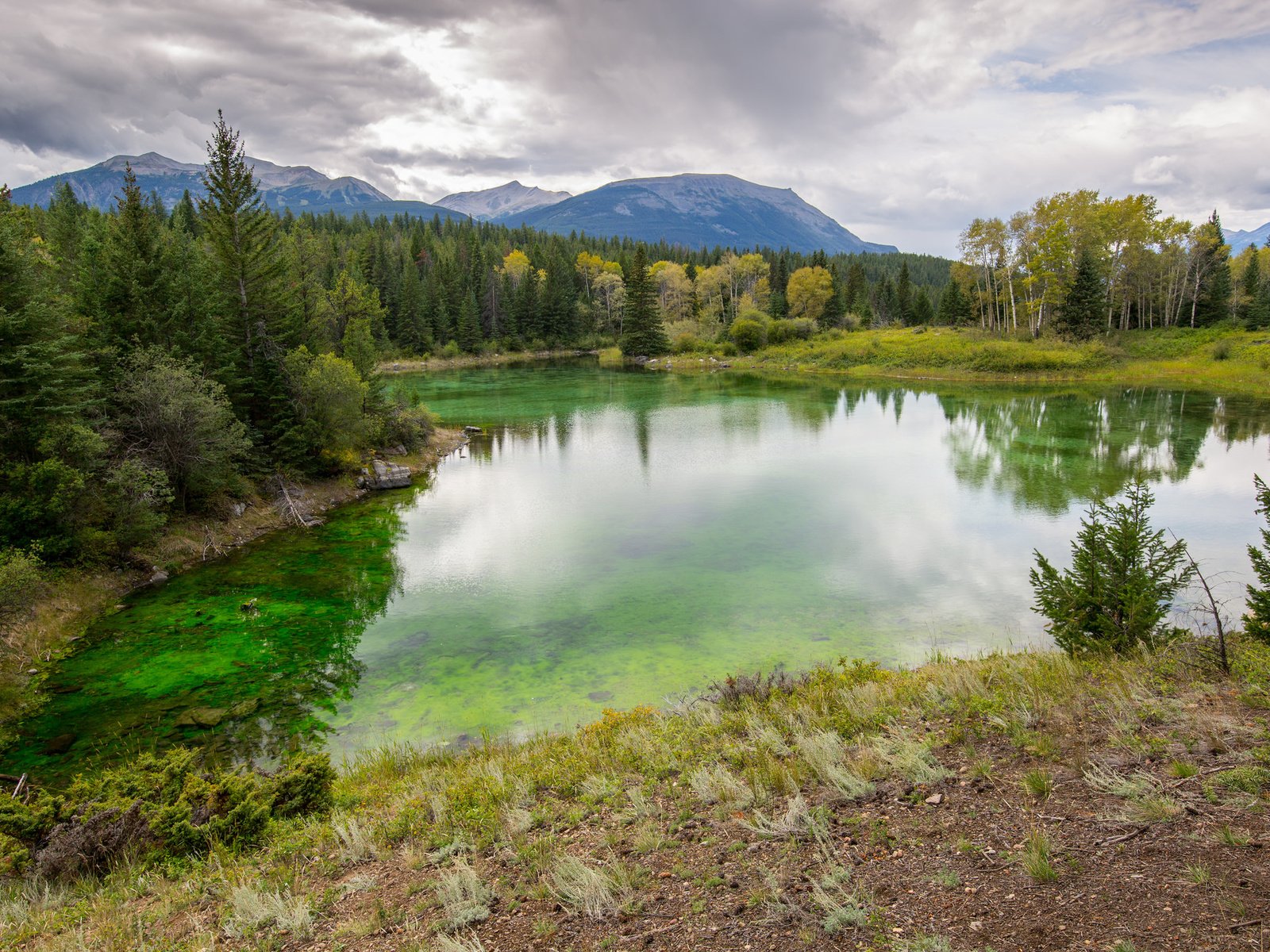 Обои трава, деревья, озеро, горы, лес, тучи, отражение, пейзаж, grass, trees, lake, mountains, forest, clouds, reflection, landscape разрешение 2048x1365 Загрузить